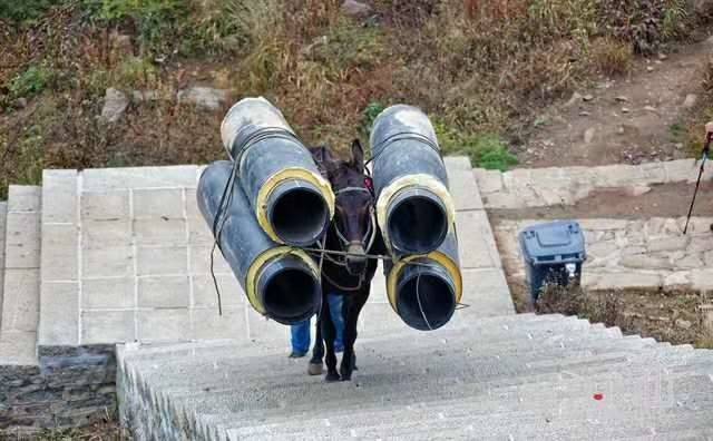 恩施马帮运输